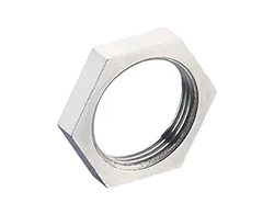 Hastelloy Panel Nuts